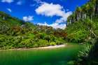 The Pororari River, Paparoa National Park, Punakaiki, New Zealand Art Print